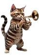 Sağ Görsel