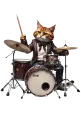 Sağ Görsel