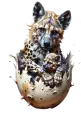 Imagem Direita